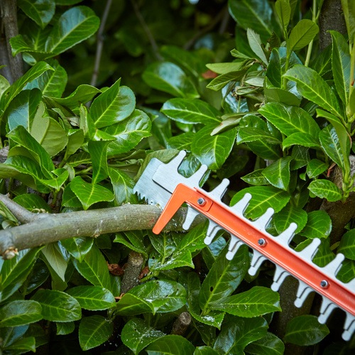 Black and Decker - 650W 60cm hcksax med vridbart handtag och SAWBLADE - BEHTS551