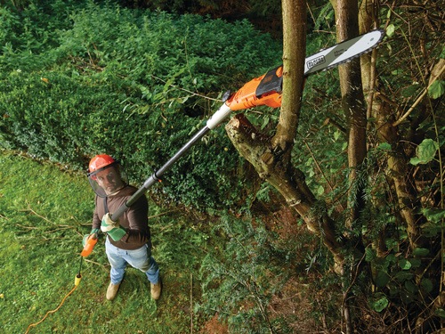 Black and Decker - Grensg 800W 25cm - PS7525