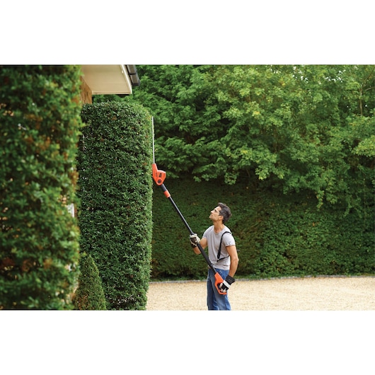 A person using a BLACK+DECKER long reach hedge trimmer to trim tall hedges in a garden. The tool has an extended pole and an orange cutting head, allowing the user to reach higher branches.